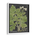 Dramático Weinmann Greenery I - Vision Studio | Cuadro decorativo de Canvas Lab