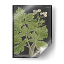 Dramático Weinmann Greenery I - Vision Studio | Cuadro decorativo de Canvas Lab