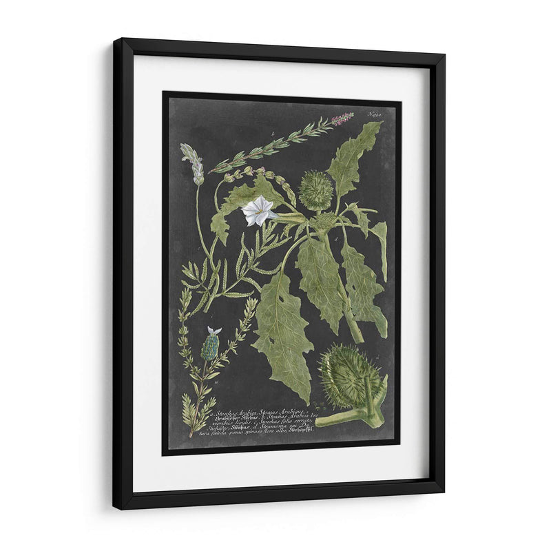 Dramático Weinmann Greenery Ii - Vision Studio | Cuadro decorativo de Canvas Lab