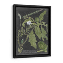 Dramático Weinmann Greenery Ii - Vision Studio | Cuadro decorativo de Canvas Lab