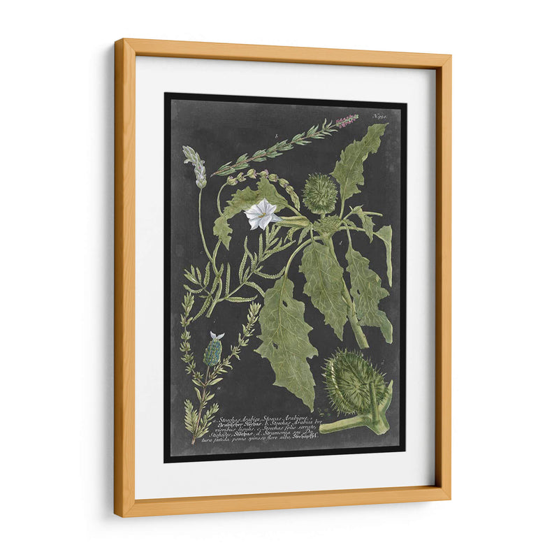 Dramático Weinmann Greenery Ii - Vision Studio | Cuadro decorativo de Canvas Lab