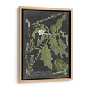 Dramático Weinmann Greenery Ii - Vision Studio | Cuadro decorativo de Canvas Lab
