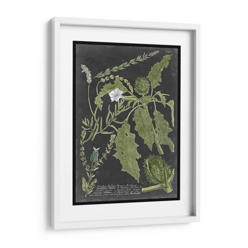 Dramático Weinmann Greenery Ii - Vision Studio | Cuadro decorativo de Canvas Lab