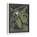 Dramático Weinmann Greenery Ii - Vision Studio | Cuadro decorativo de Canvas Lab