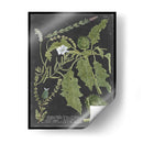 Dramático Weinmann Greenery Ii - Vision Studio | Cuadro decorativo de Canvas Lab