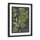 Dramático Weinmann Greenery Iii - Vision Studio | Cuadro decorativo de Canvas Lab