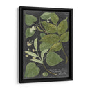 Dramático Weinmann Greenery Iii - Vision Studio | Cuadro decorativo de Canvas Lab