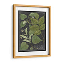 Dramático Weinmann Greenery Iii - Vision Studio | Cuadro decorativo de Canvas Lab
