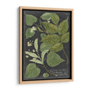 Dramático Weinmann Greenery Iii - Vision Studio | Cuadro decorativo de Canvas Lab