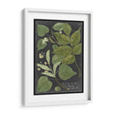 Dramático Weinmann Greenery Iii - Vision Studio | Cuadro decorativo de Canvas Lab