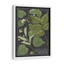 Dramático Weinmann Greenery Iii - Vision Studio | Cuadro decorativo de Canvas Lab