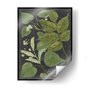 Dramático Weinmann Greenery Iii - Vision Studio | Cuadro decorativo de Canvas Lab