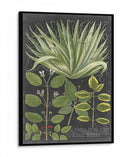 Dramático Weinmann Greenery Iv - Vision Studio | Cuadro decorativo de Canvas Lab