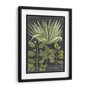 Dramático Weinmann Greenery Iv - Vision Studio | Cuadro decorativo de Canvas Lab