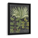 Dramático Weinmann Greenery Iv - Vision Studio | Cuadro decorativo de Canvas Lab