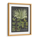 Dramático Weinmann Greenery Iv - Vision Studio | Cuadro decorativo de Canvas Lab