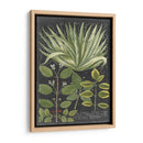 Dramático Weinmann Greenery Iv - Vision Studio | Cuadro decorativo de Canvas Lab