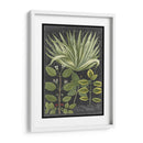 Dramático Weinmann Greenery Iv - Vision Studio | Cuadro decorativo de Canvas Lab
