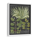 Dramático Weinmann Greenery Iv - Vision Studio | Cuadro decorativo de Canvas Lab