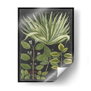 Dramático Weinmann Greenery Iv - Vision Studio | Cuadro decorativo de Canvas Lab