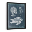 Estudio De La Tortuga Marina De Azure I - Vision Studio | Cuadro decorativo de Canvas Lab