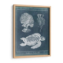 Estudio De La Tortuga Marina De Azure I - Vision Studio | Cuadro decorativo de Canvas Lab
