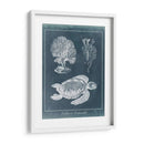 Estudio De La Tortuga Marina De Azure I - Vision Studio | Cuadro decorativo de Canvas Lab