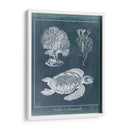 Estudio De La Tortuga Marina De Azure I - Vision Studio | Cuadro decorativo de Canvas Lab