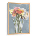 Poppy Spray Iii - Jennifer Goldberger | Cuadro decorativo de Canvas Lab