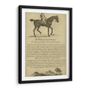 Retrato De Caballo V | Cuadro decorativo de Canvas Lab