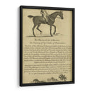 Retrato De Caballo V | Cuadro decorativo de Canvas Lab