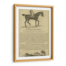 Retrato De Caballo V | Cuadro decorativo de Canvas Lab