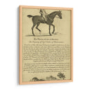 Retrato De Caballo V | Cuadro decorativo de Canvas Lab