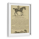 Retrato De Caballo V | Cuadro decorativo de Canvas Lab