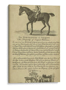 Retrato De Caballo Vi | Cuadro decorativo de Canvas Lab