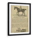 Retrato De Caballo Vi | Cuadro decorativo de Canvas Lab