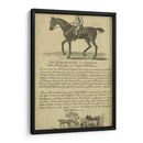 Retrato De Caballo Vi | Cuadro decorativo de Canvas Lab