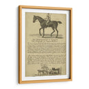 Retrato De Caballo Vi | Cuadro decorativo de Canvas Lab