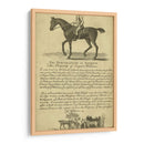 Retrato De Caballo Vi | Cuadro decorativo de Canvas Lab