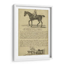 Retrato De Caballo Vi | Cuadro decorativo de Canvas Lab