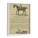 Retrato De Caballo Vi | Cuadro decorativo de Canvas Lab