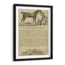 Retrato De Caballo Vii | Cuadro decorativo de Canvas Lab