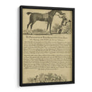 Retrato De Caballo Vii | Cuadro decorativo de Canvas Lab