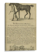 Retrato De Caballo Viii | Cuadro decorativo de Canvas Lab