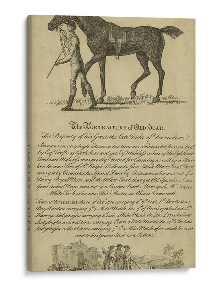 Retrato De Caballo Viii | Cuadro decorativo de Canvas Lab