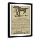 Retrato De Caballo Viii | Cuadro decorativo de Canvas Lab