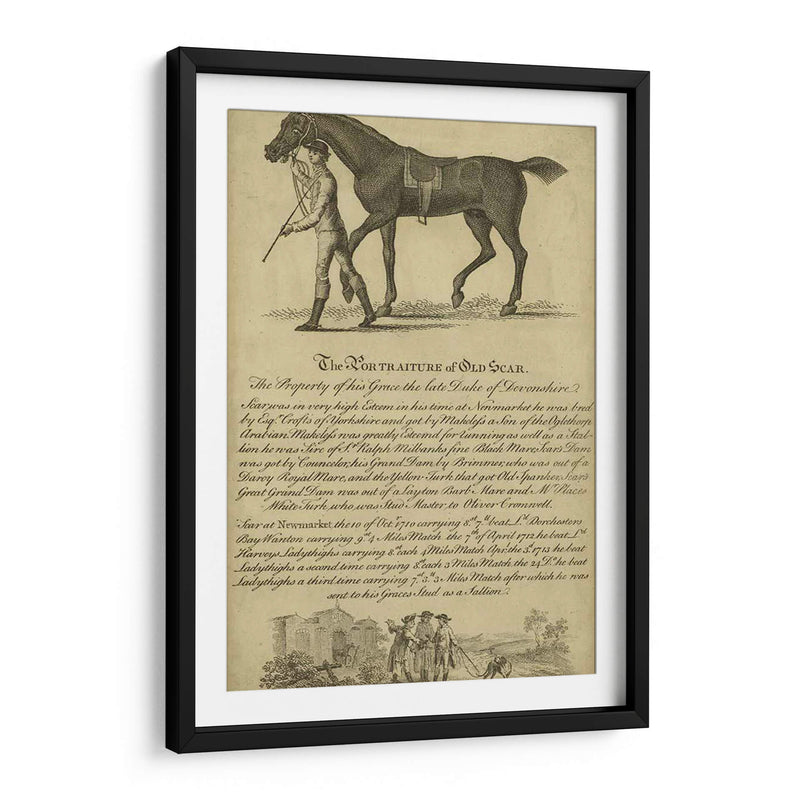 Retrato De Caballo Viii | Cuadro decorativo de Canvas Lab