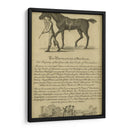 Retrato De Caballo Viii | Cuadro decorativo de Canvas Lab