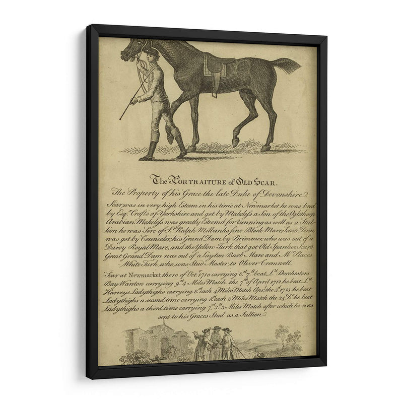 Retrato De Caballo Viii | Cuadro decorativo de Canvas Lab