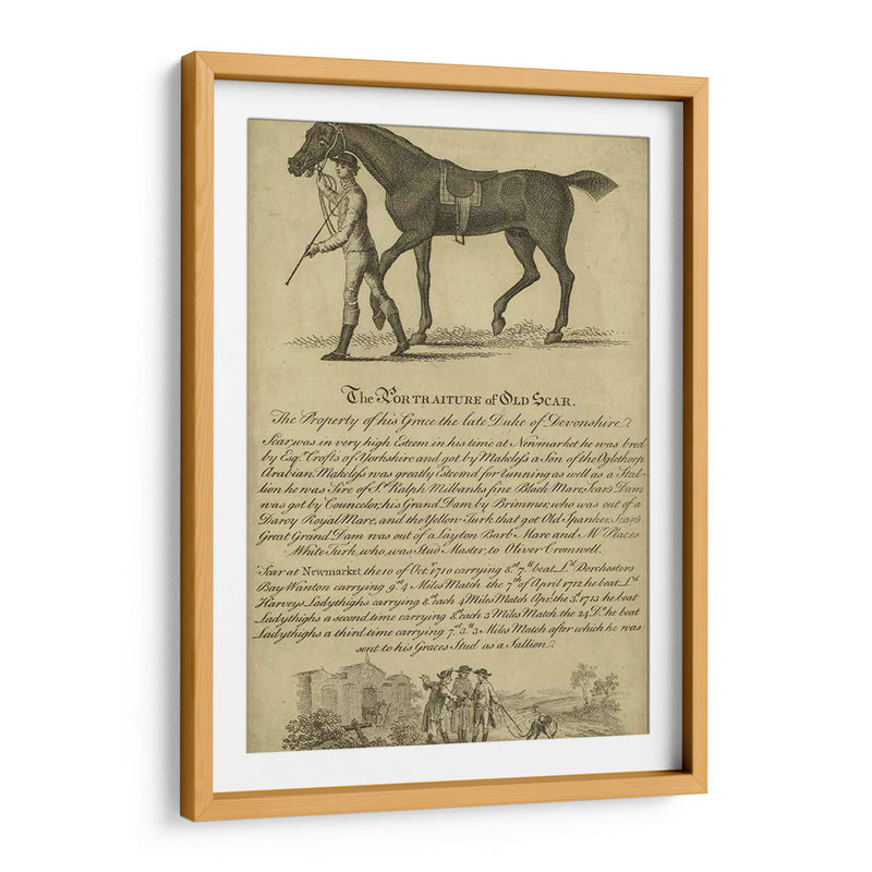 Retrato De Caballo Viii | Cuadro decorativo de Canvas Lab